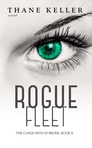 Front cover of Rogue Fleet